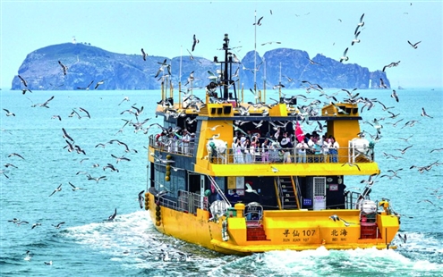 6月1日,在荣成市海驴岛海域,游客乘船出海与海鸟互动 新华社发